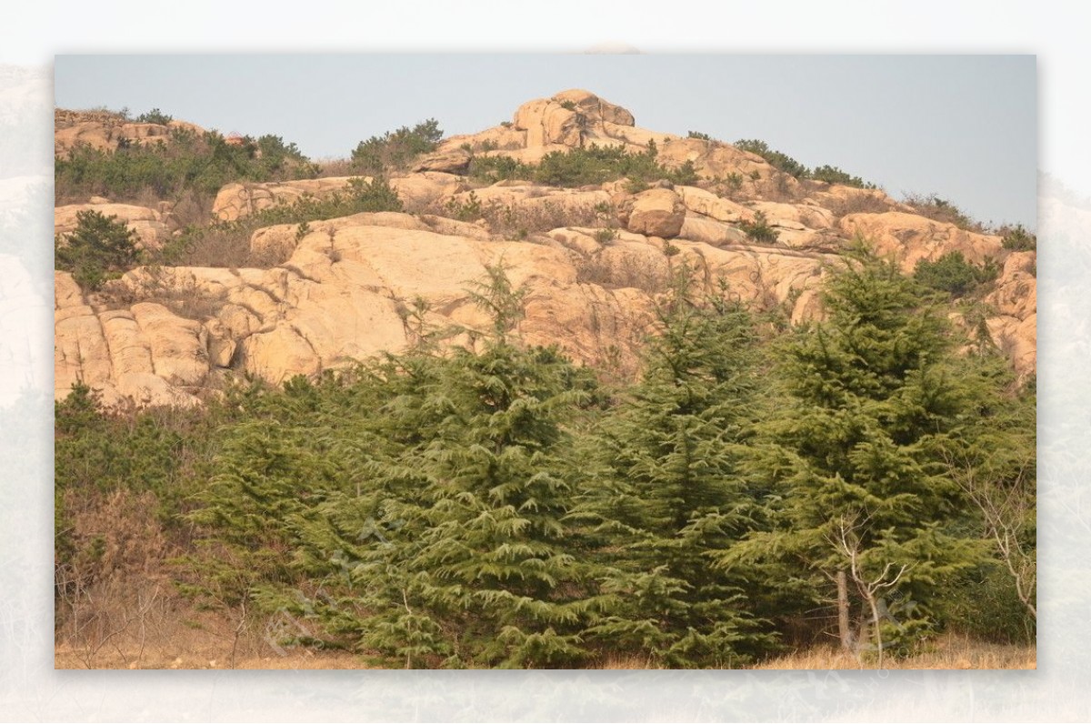 金家岭山近景图片