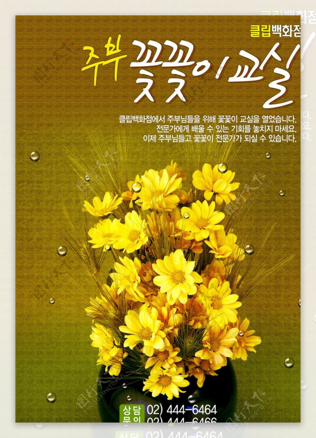 韩式花卉图片