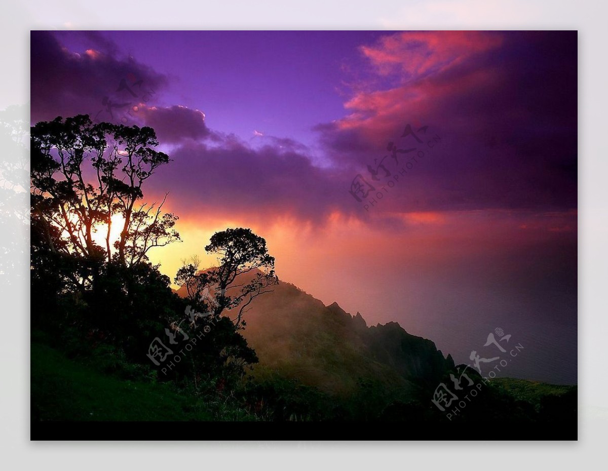 紫霞青山树影图片