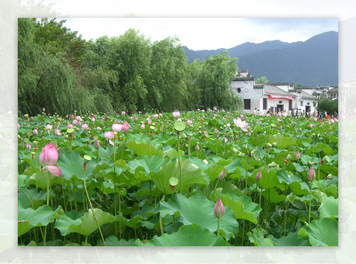 潜口风景图片