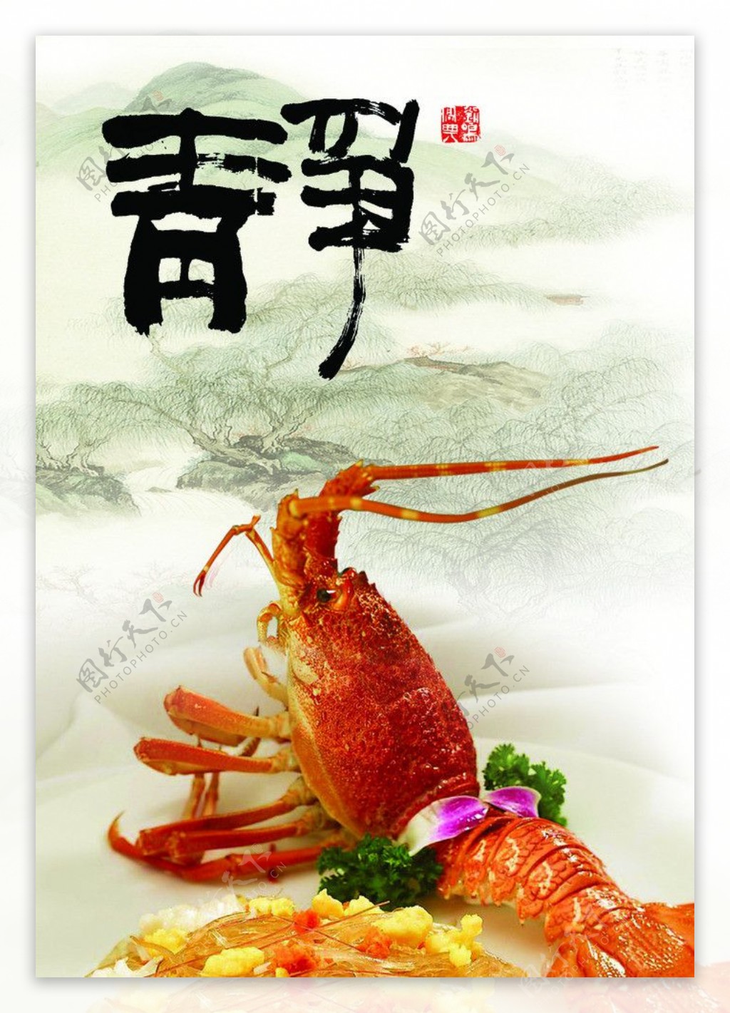 大龙虾菜图片