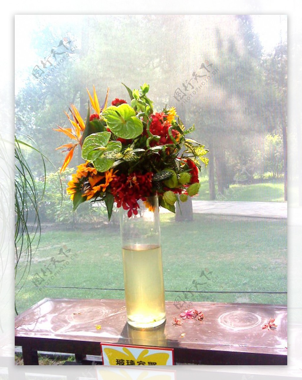 花瓶花瓣图片