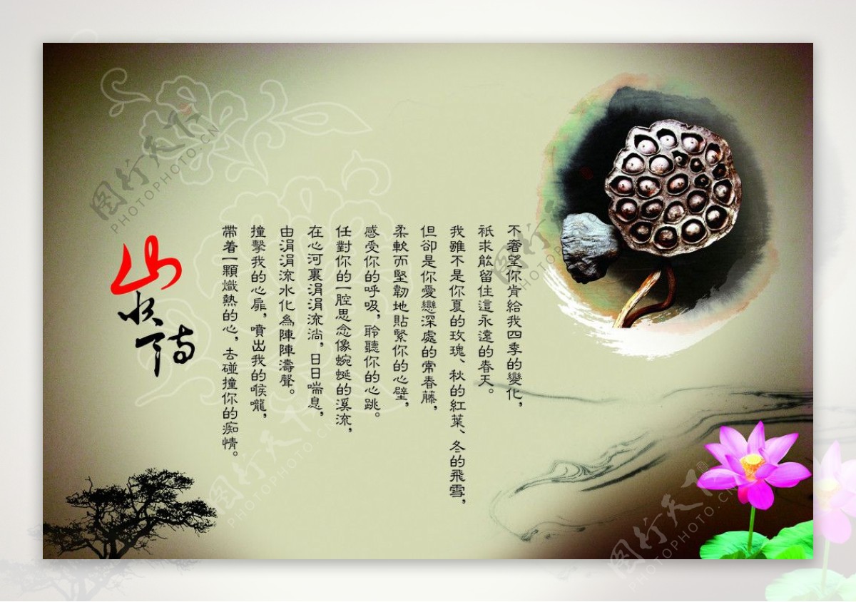 中国传统文化莲子图片