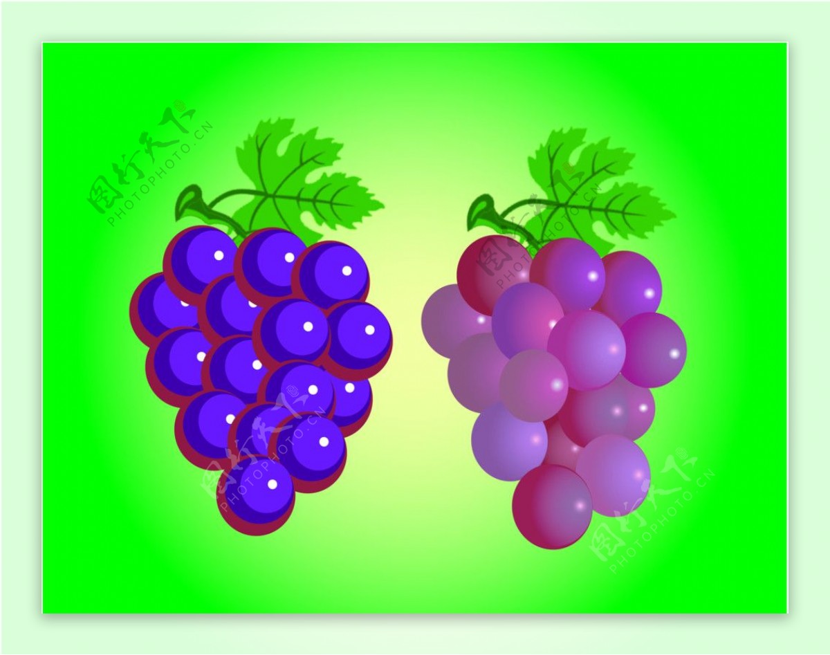 水果萄萄PSD素材图片