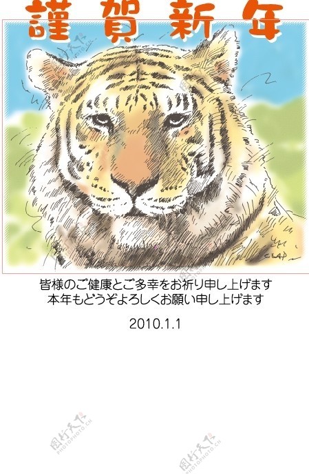 2010虎年素材图片