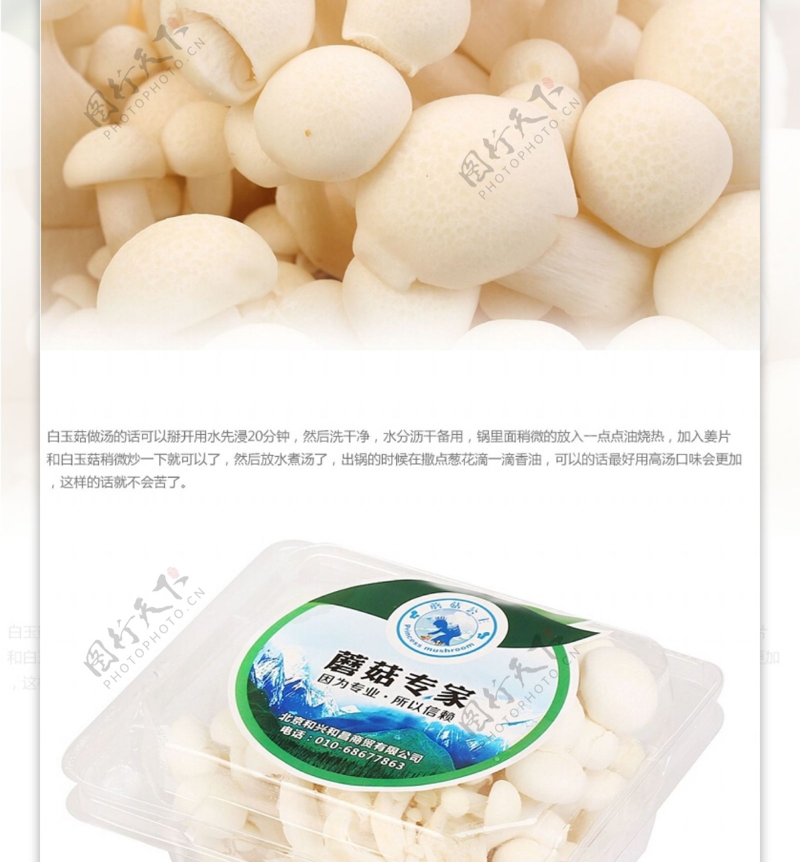 白玉菇图片