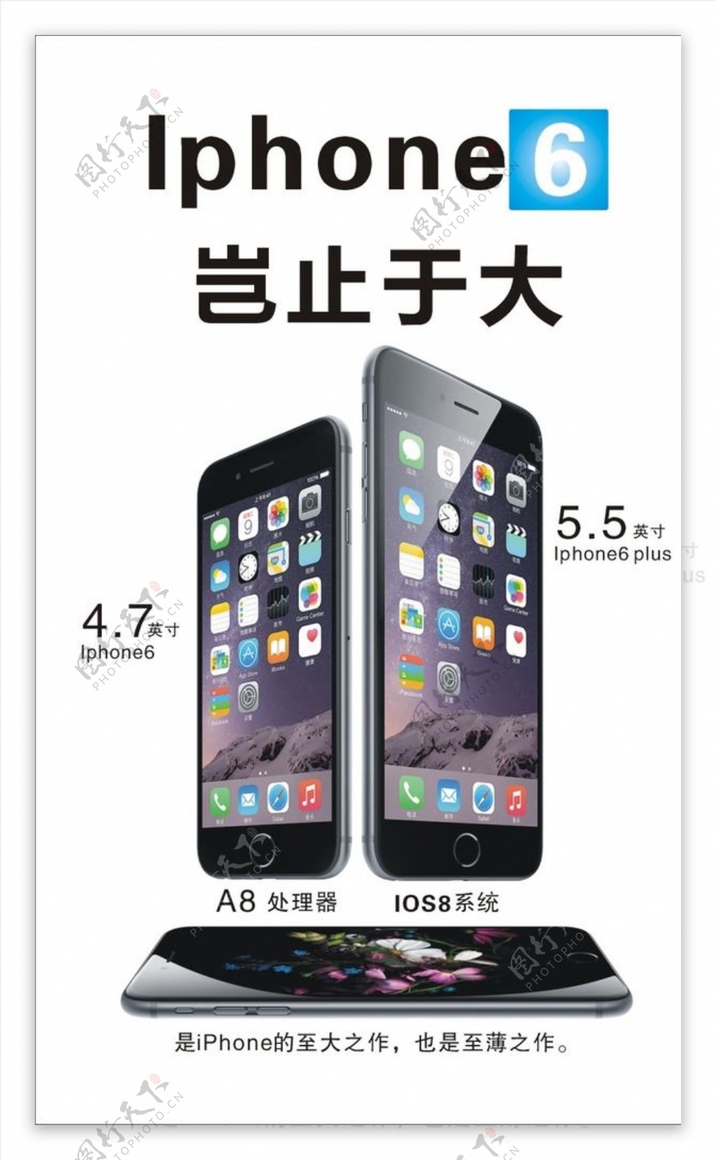 iphone6苹果手机图片