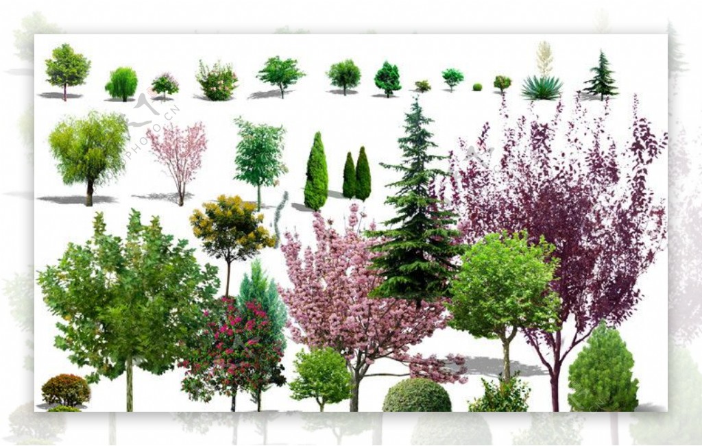 效果图后期植物PSD分层素材图片