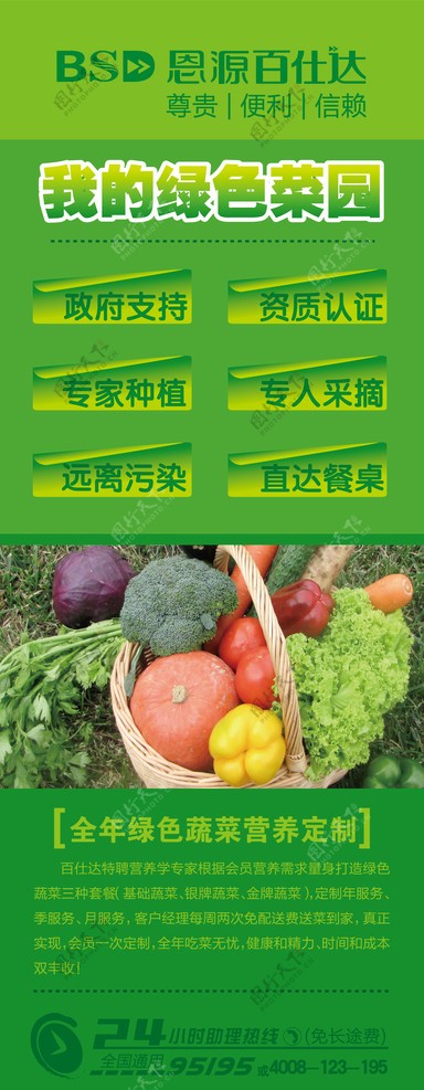 蔬菜健康养生X展架展板设计图片
