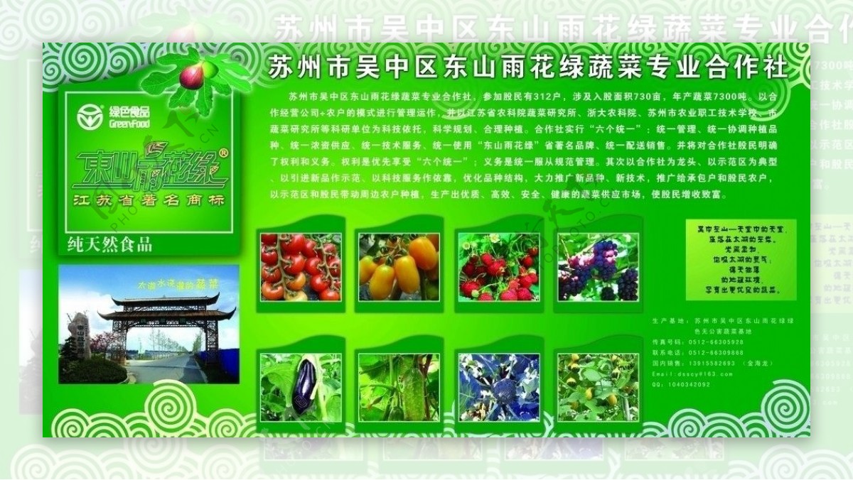 东山雨花绿蔬菜图片