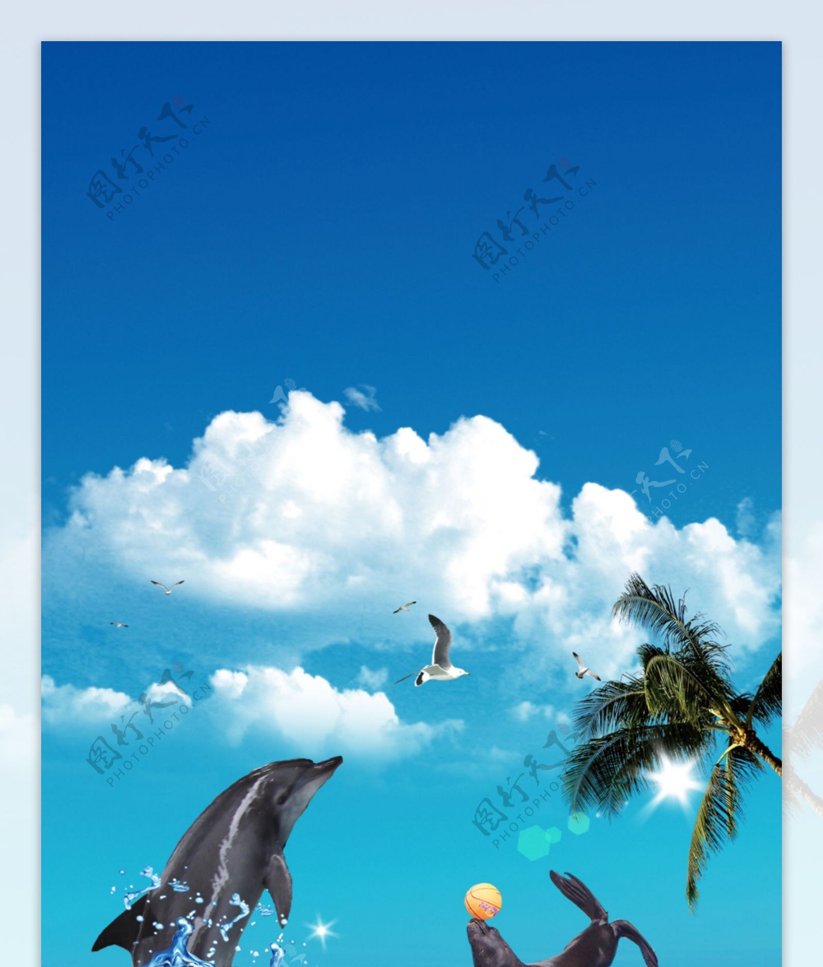 海豚海狮图片