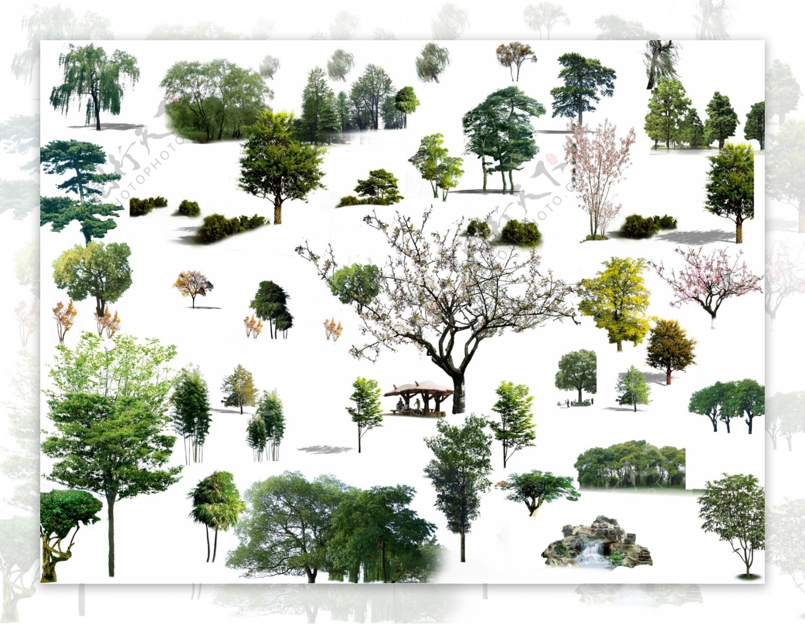 各种树木素材图片