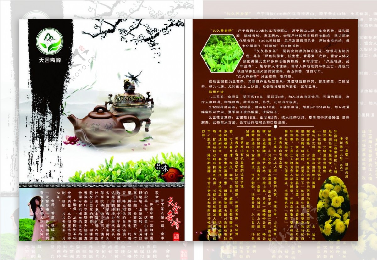 高山茶宣传页图片