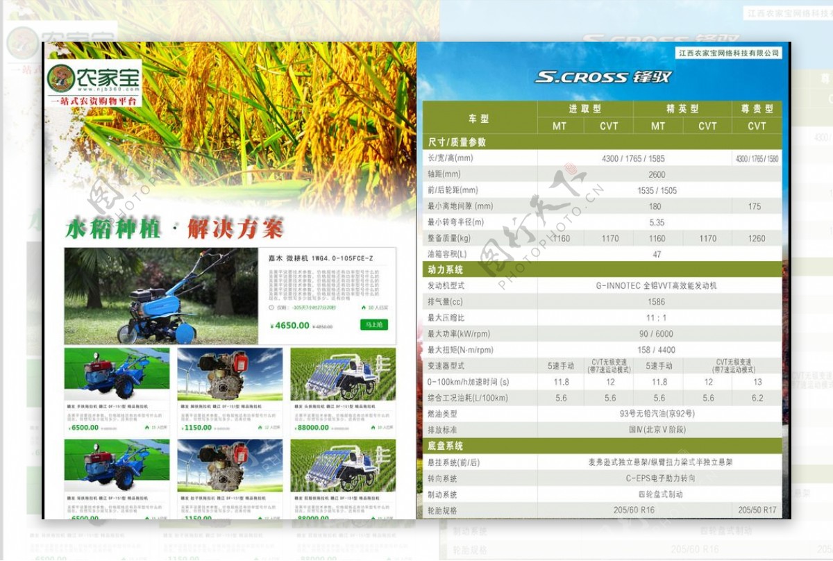 水稻解决方案DM单页模板图片
