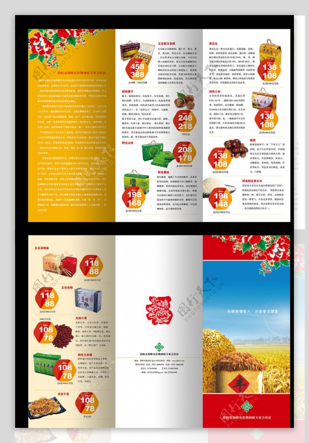 海峰农产品折页平面图图片