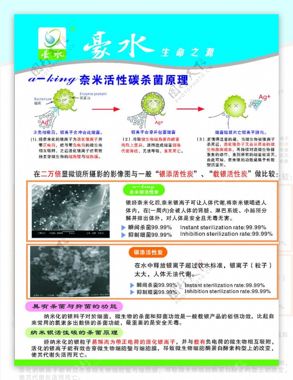 生命之源图片