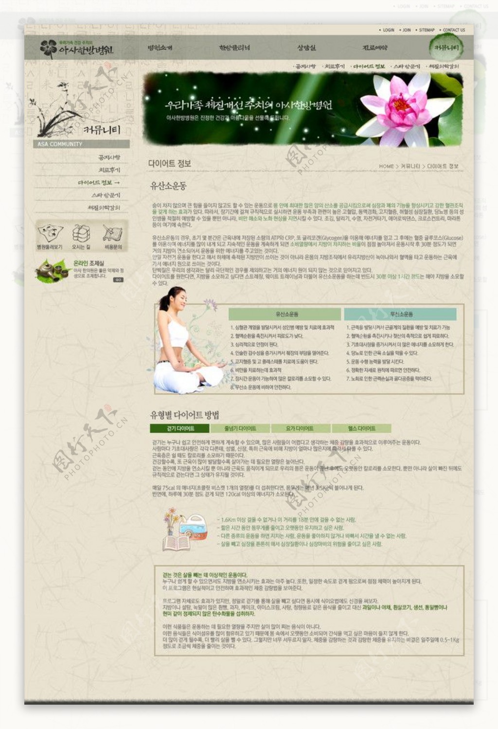 韩国精美网站模版11图片