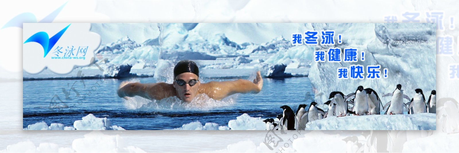 冬泳banner图片