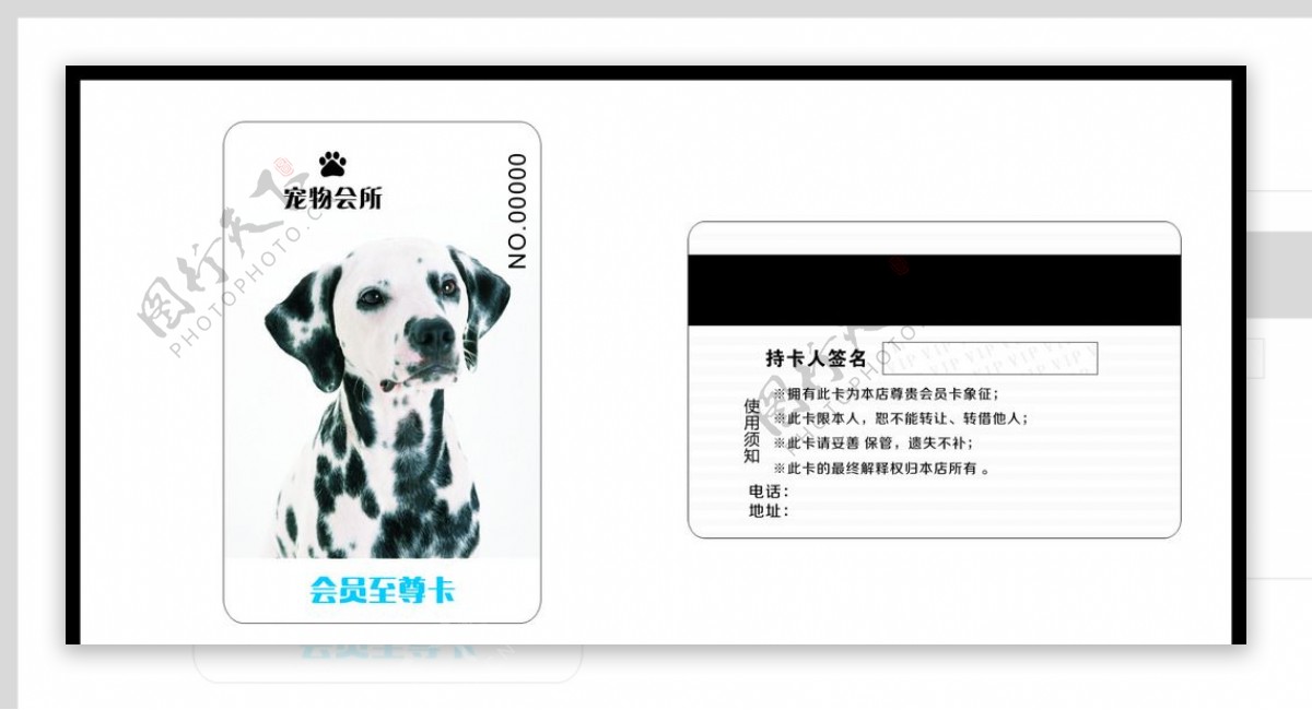 宠物VIP卡片图片