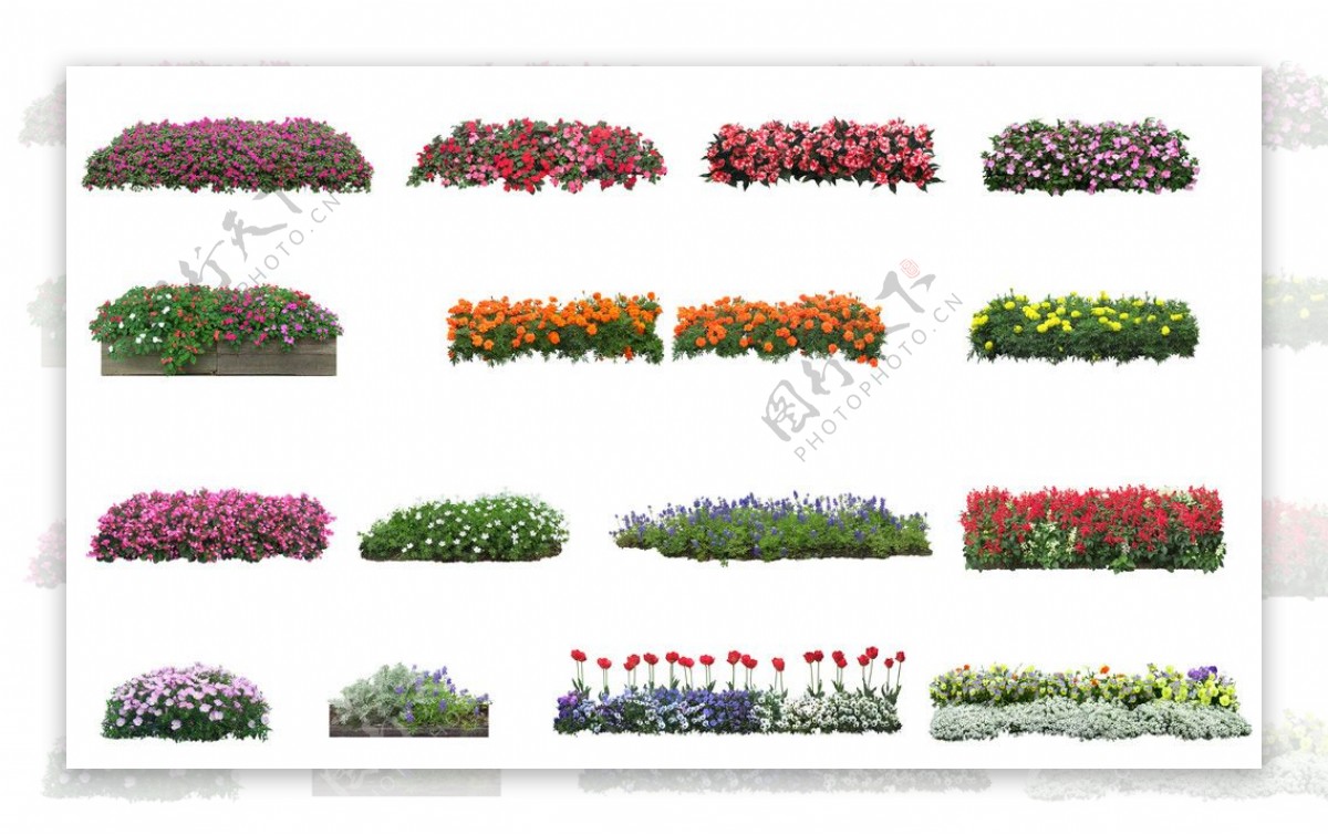 花丛PSD素材19张图片