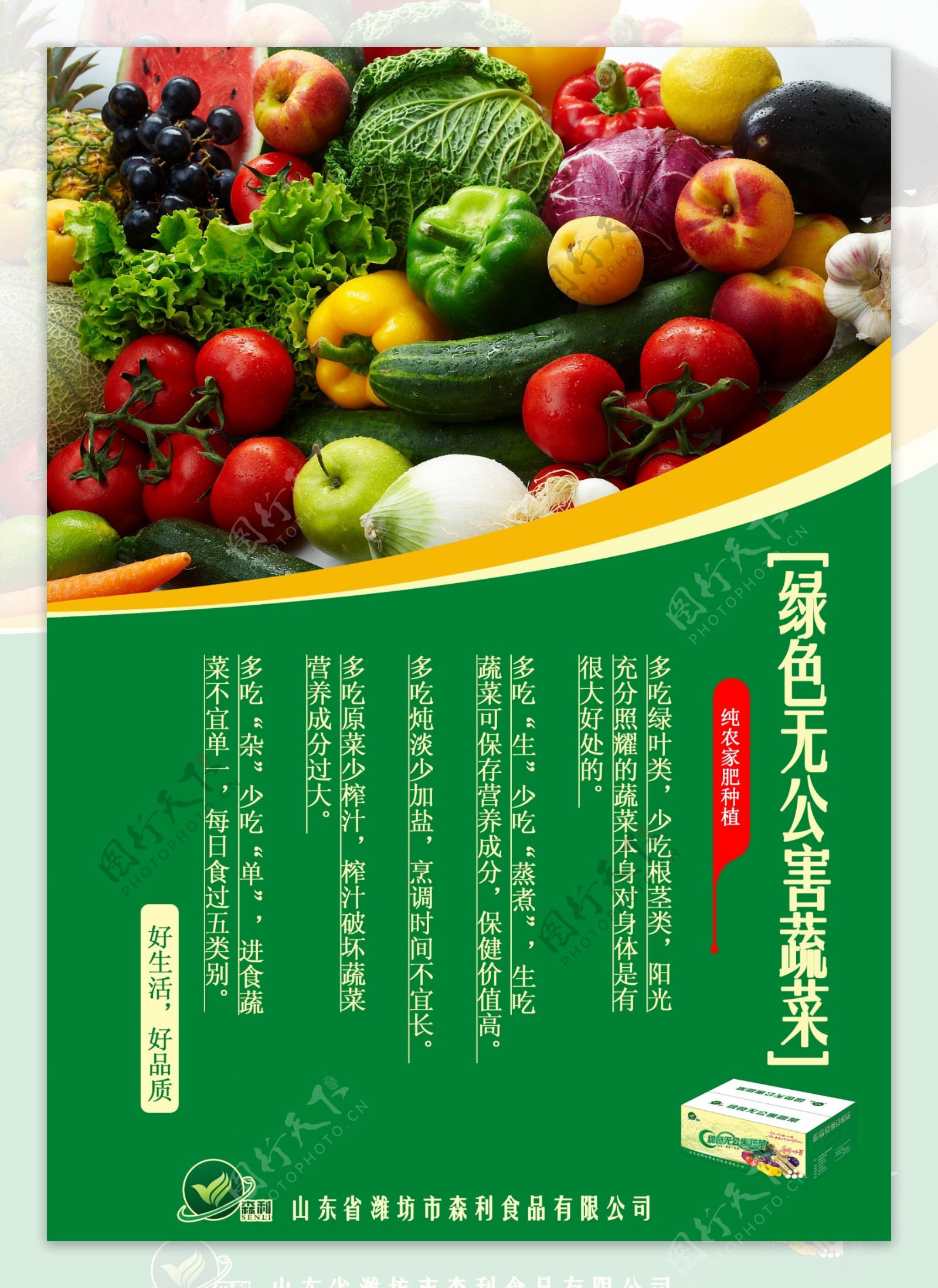 绿色蔬菜宣传页图片