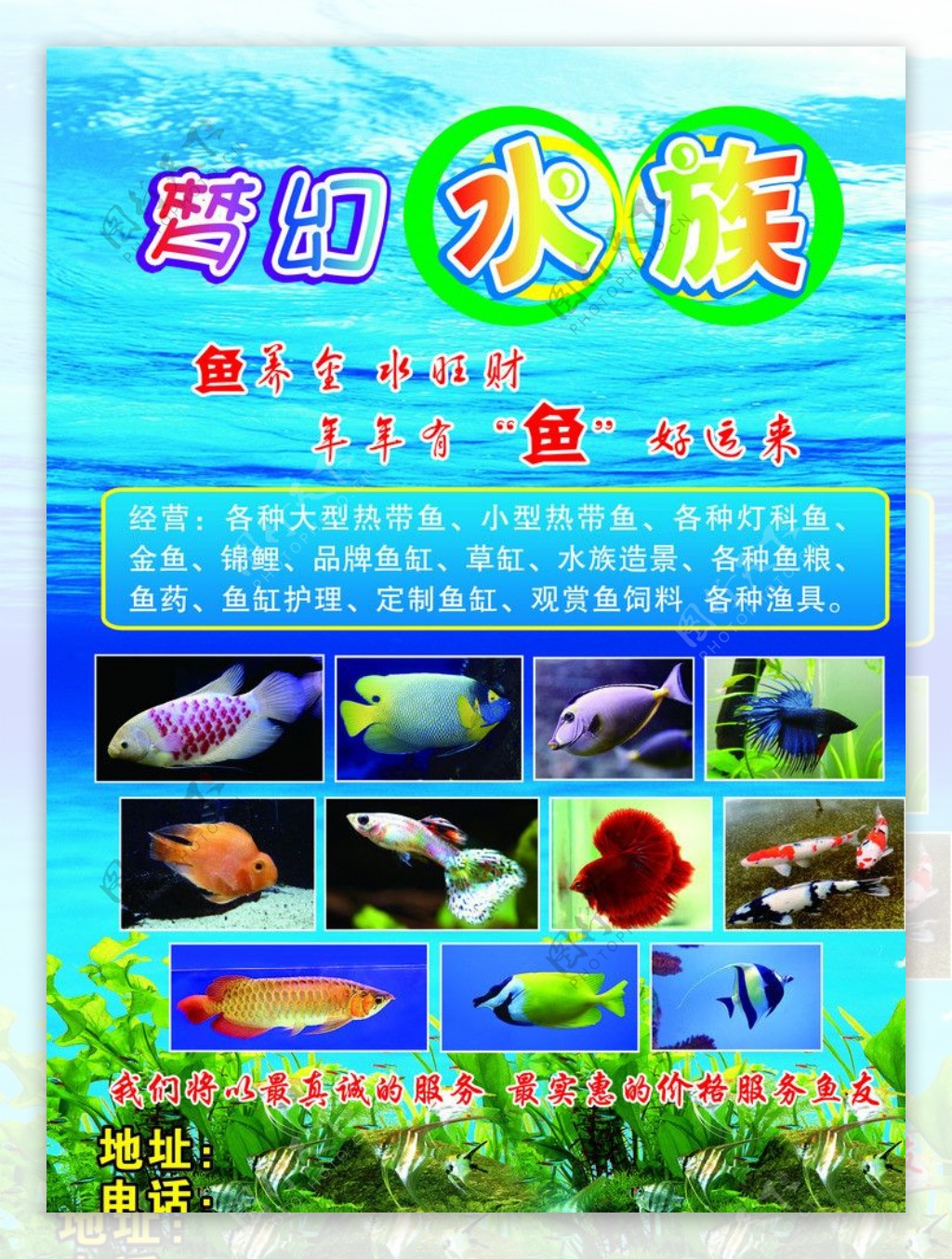 梦幻水族图片