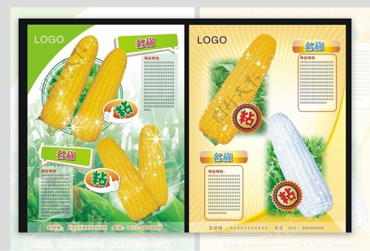 玉米种子传单图片