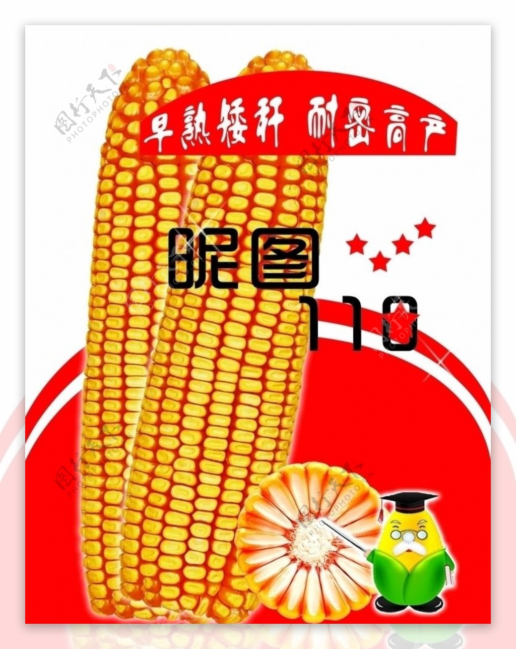 玉米最新品种宣传单图片