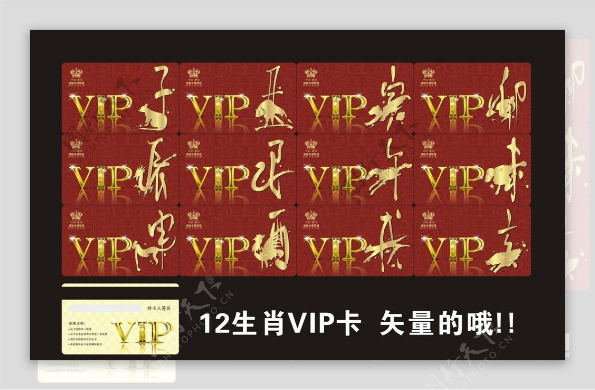 十二生肖VIP卡图片