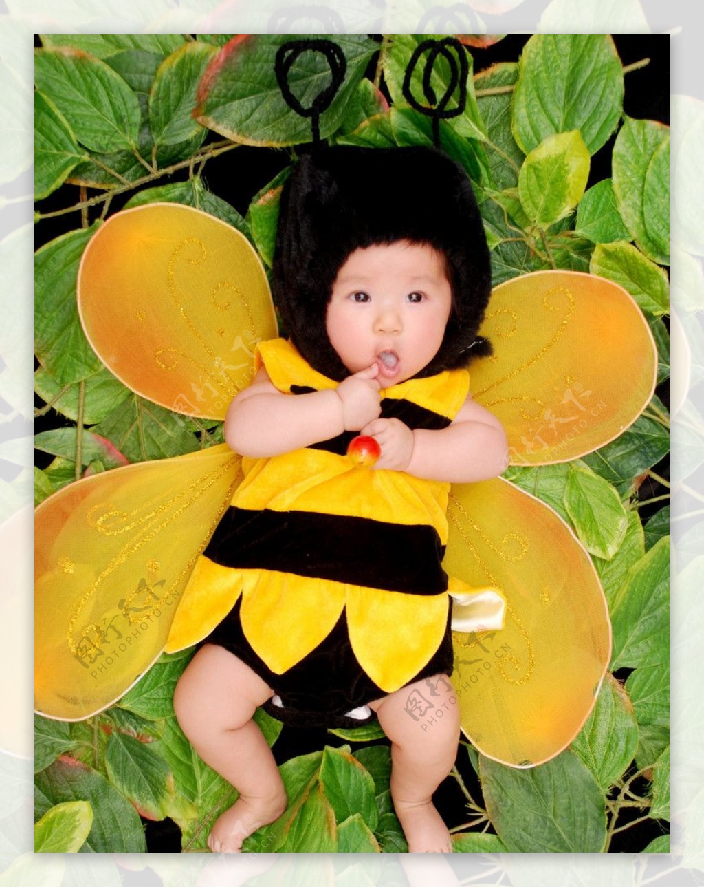 小蜜蜂宝贝儿童图片