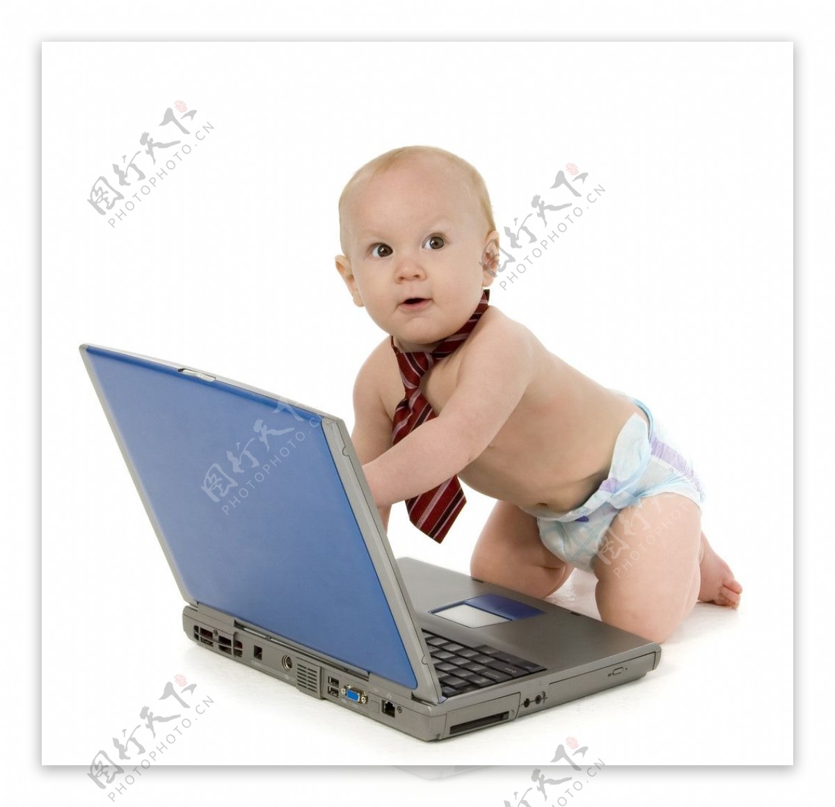 玩笔记本电脑的可爱婴儿宝宝图片