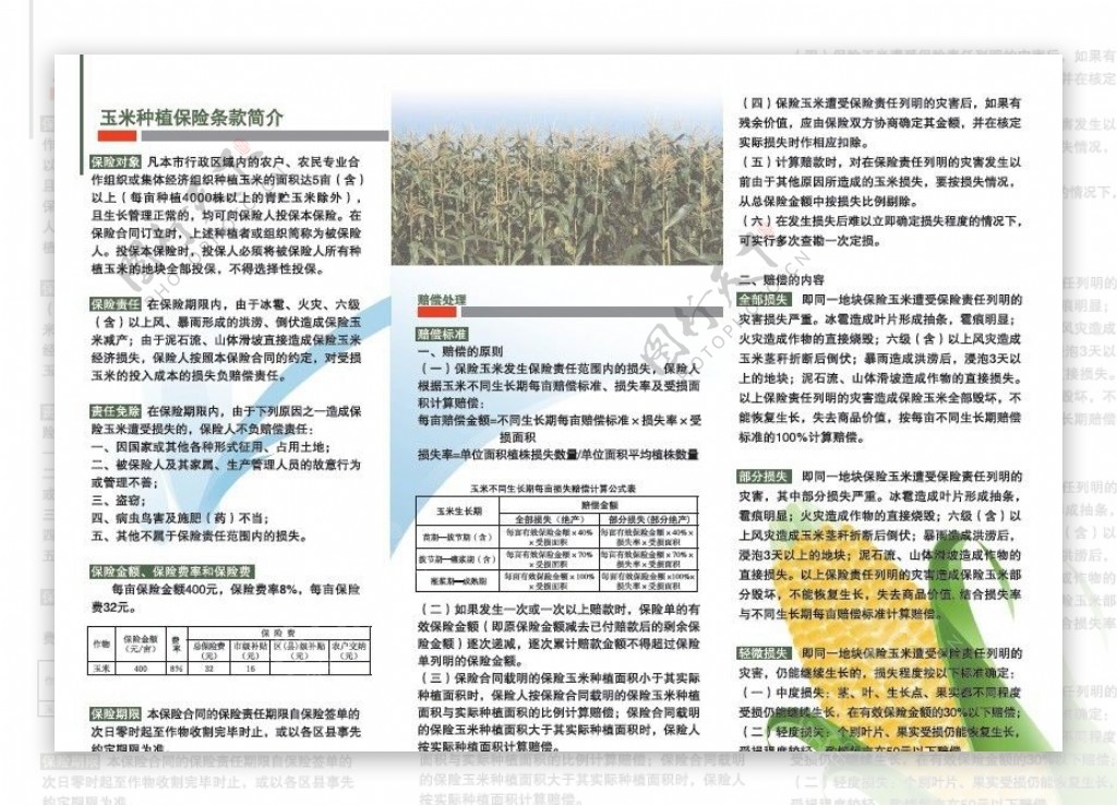 玉米农业保险彩页图片