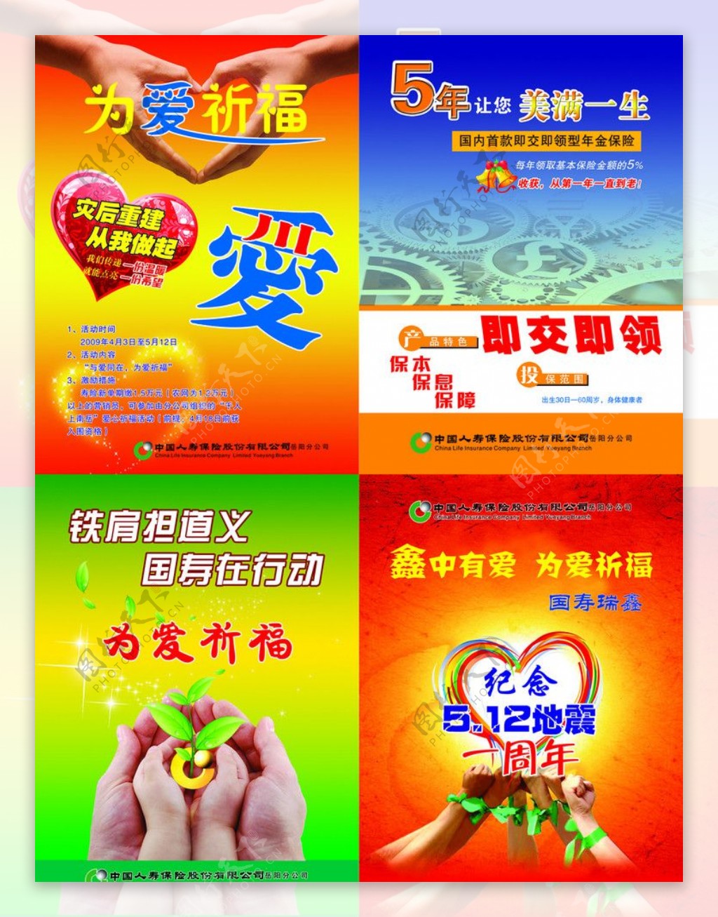 中国人寿保险单页图片