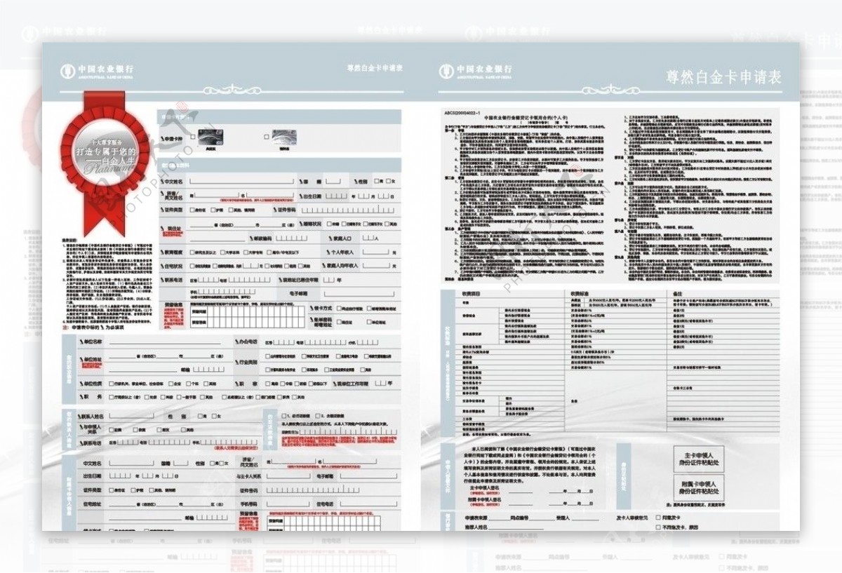 农行白金卡申请表图片