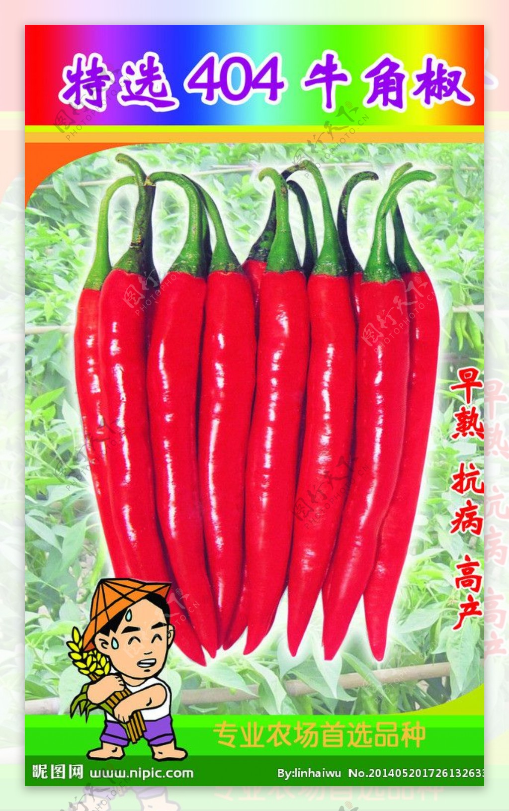 辣椒种子广告图图片