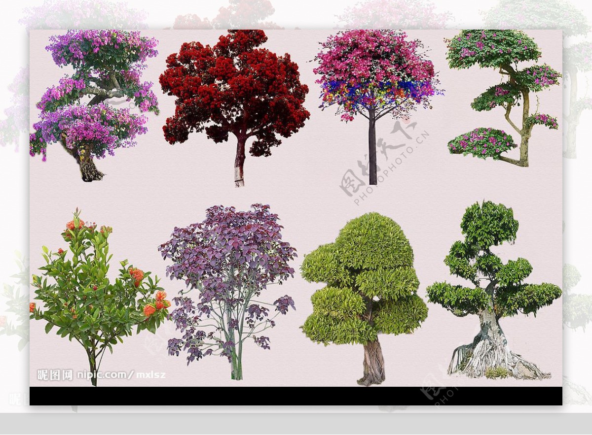 PSD后期景观树木分层图图片