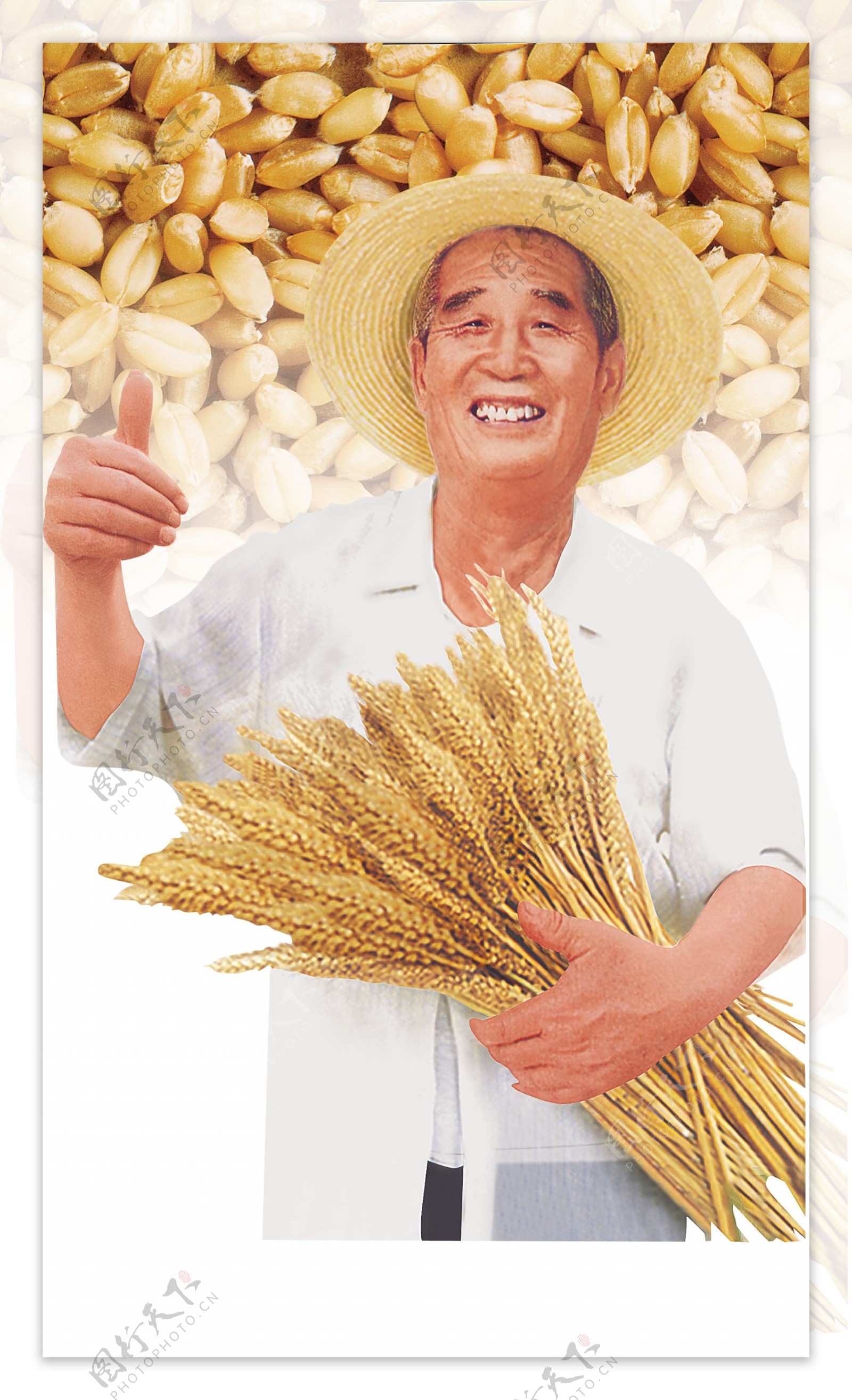 抱小麦的农民图片