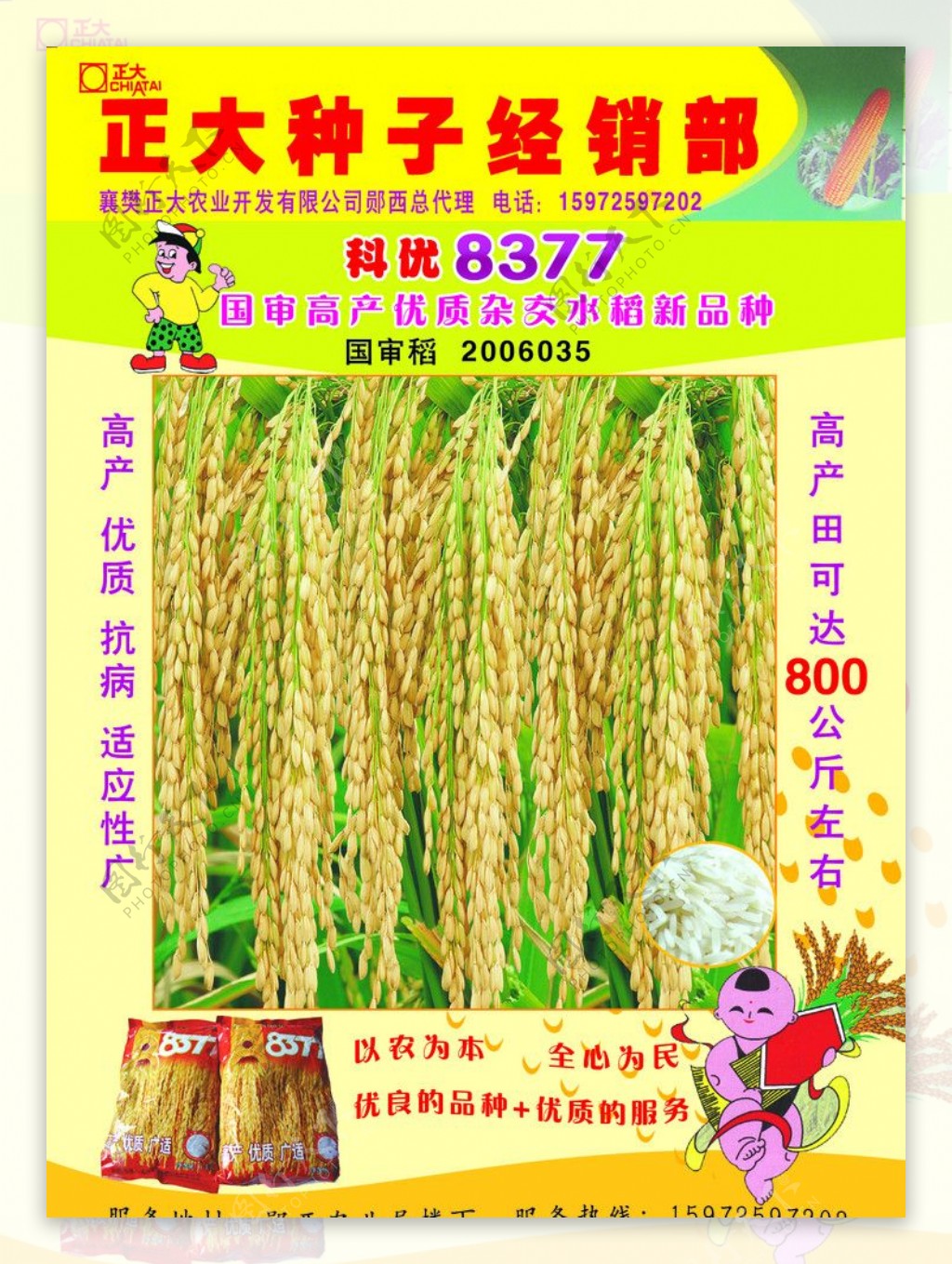 正大种子宣传彩页科优8377水稻新品种图片