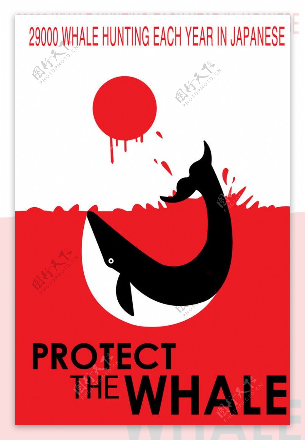 保护鲸鱼日本图片