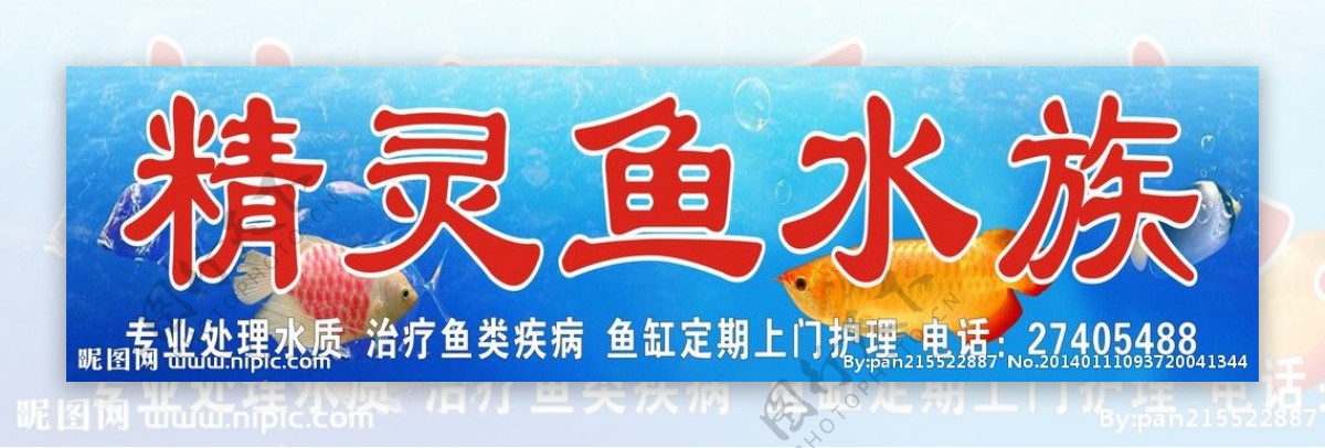 精灵鱼水族图片