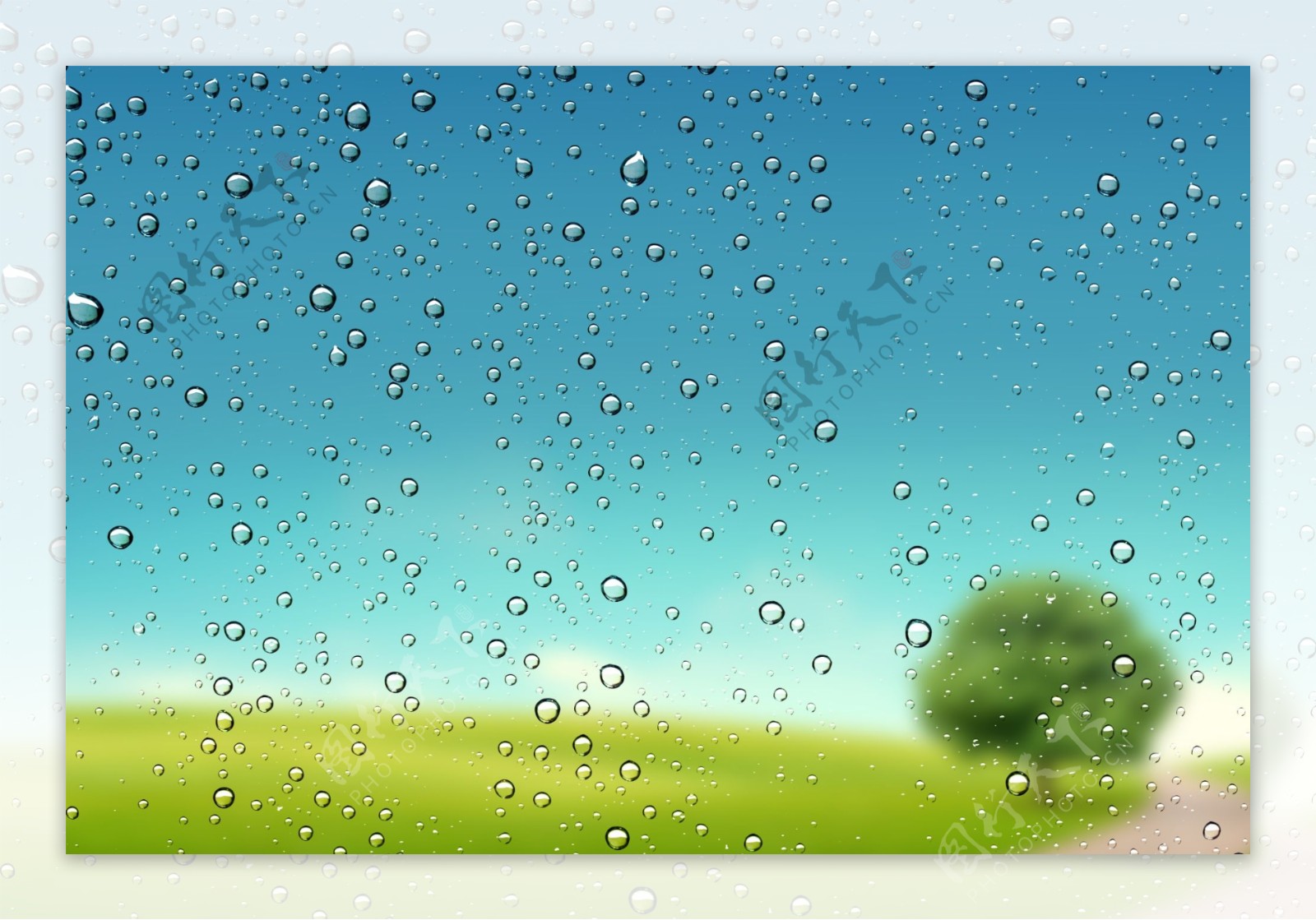 雨水草地图片