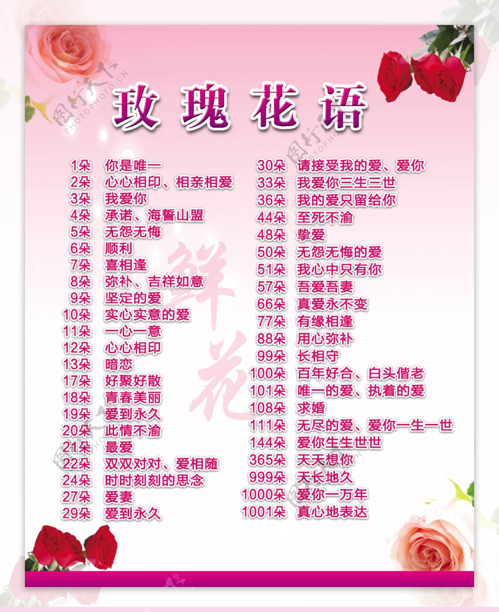 玫瑰花语海报图片