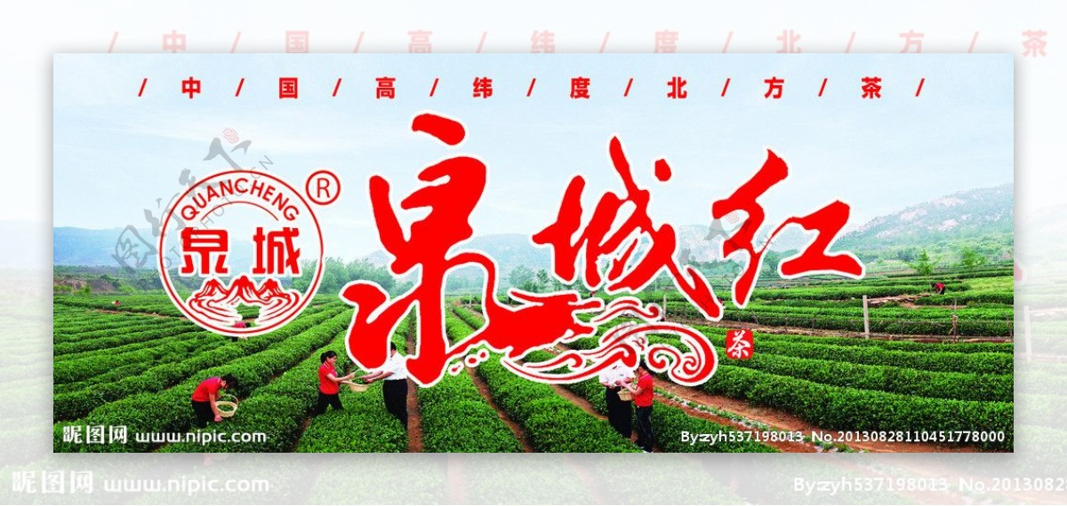 泉城绿茶标志图片