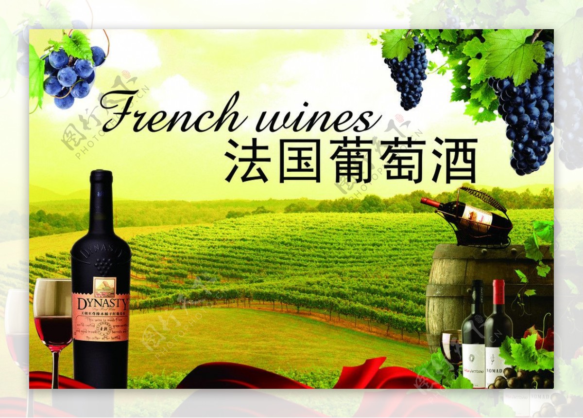 法国葡萄酒图片