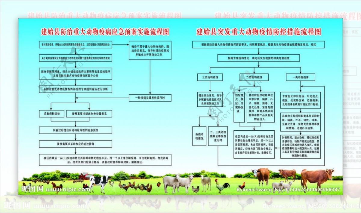 动物疫病应急预案图片