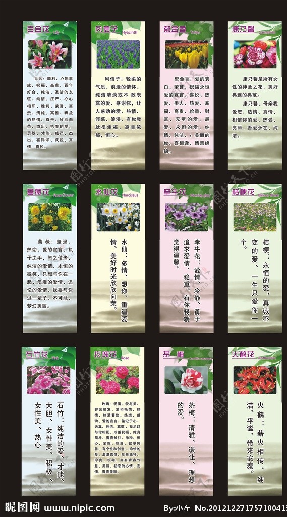 花卉画面图片