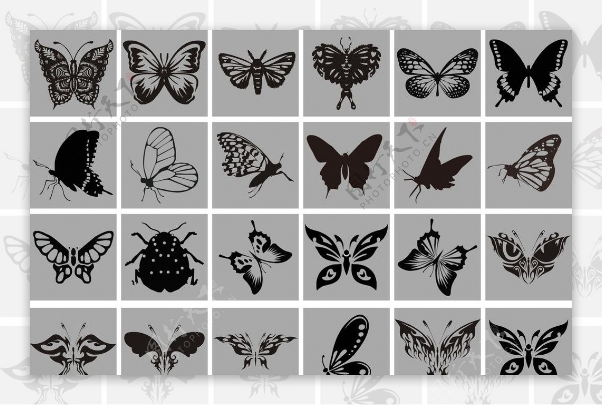 蝴蝶矢量图图片