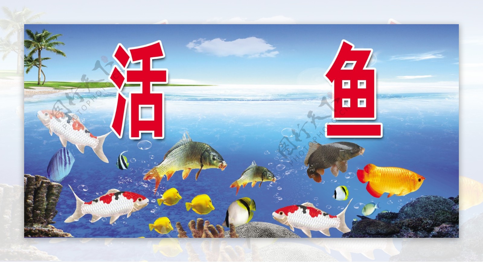 销售活鱼广告图片