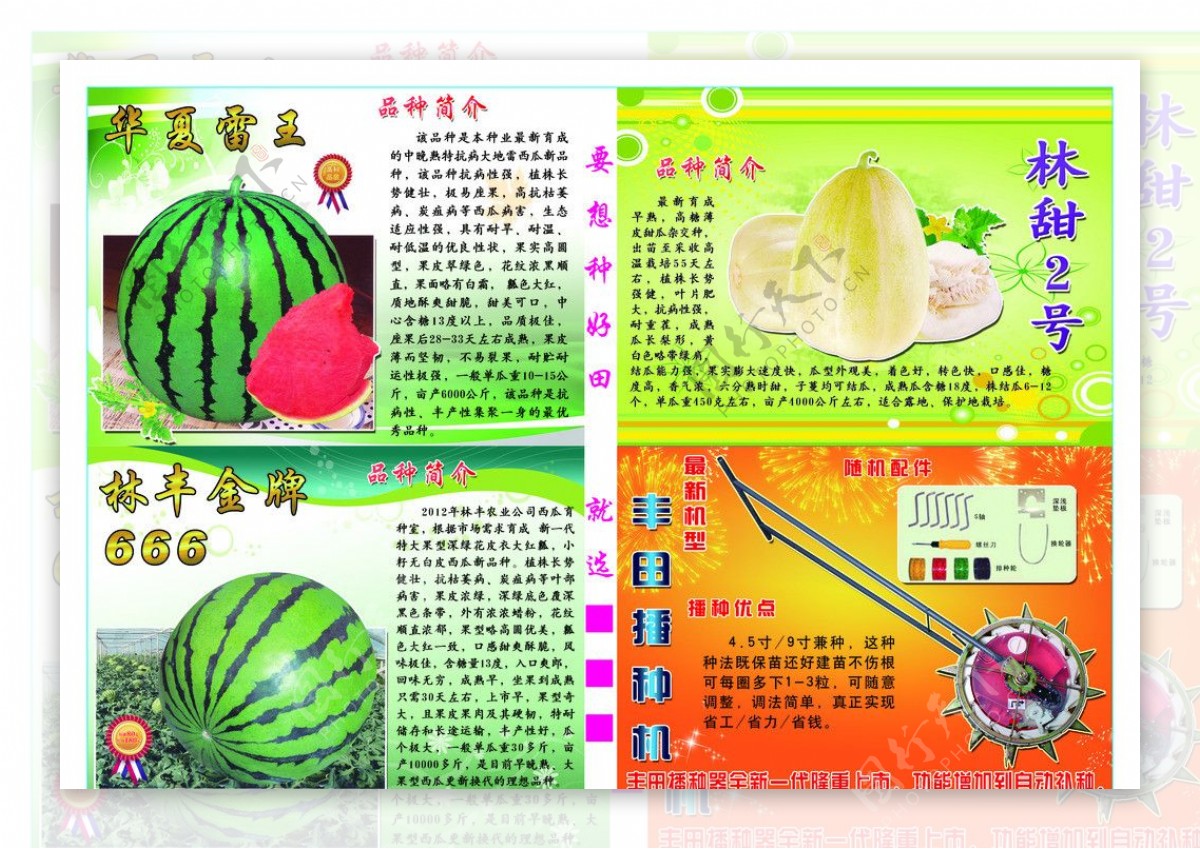西瓜水果宣传图片