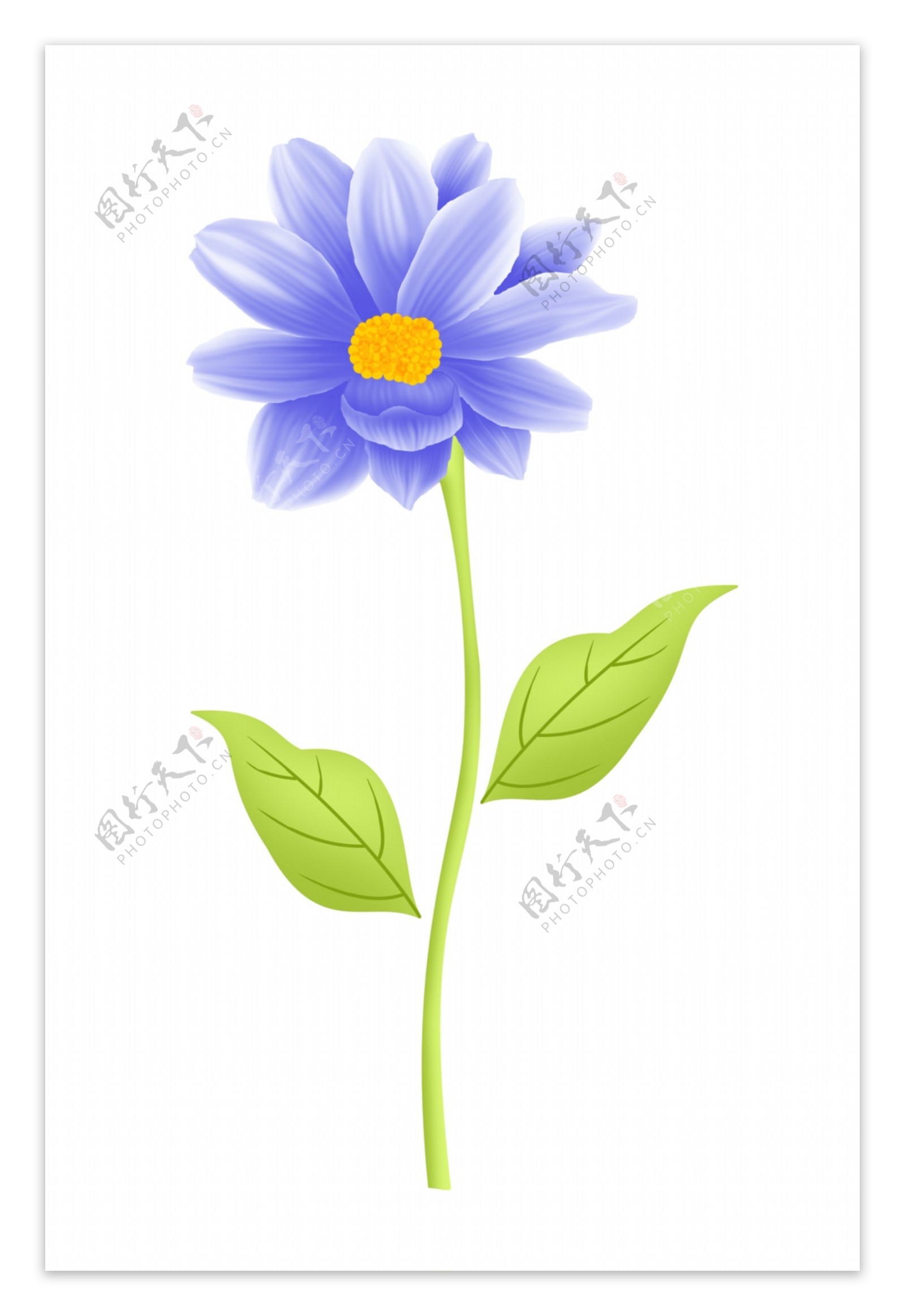 分层PSD蓝色花朵图片